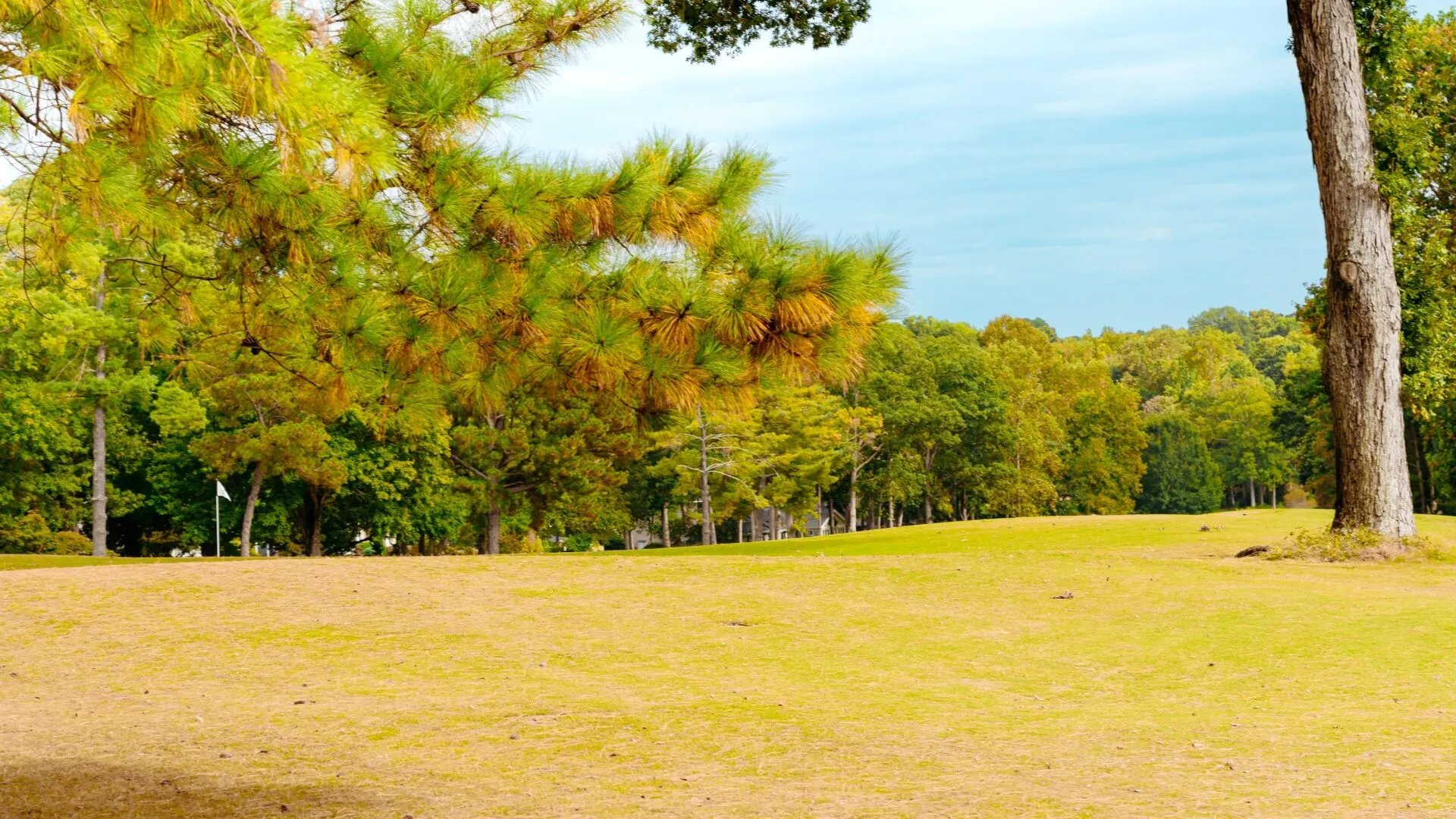 Long-Term Care Insurance